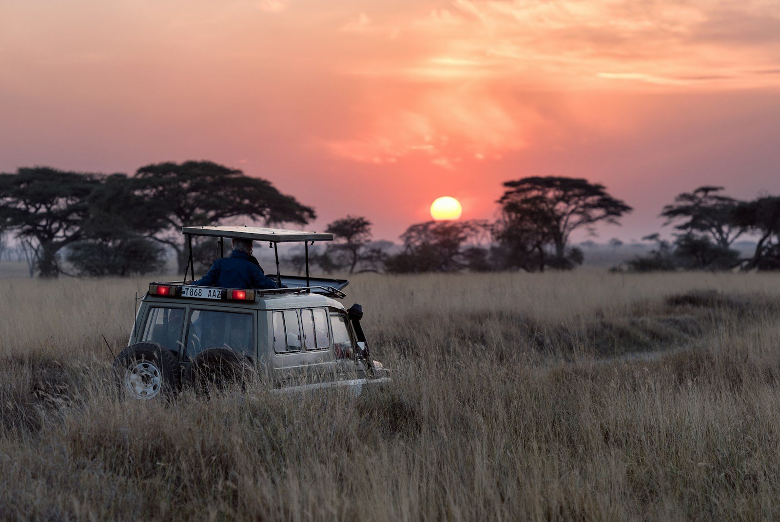 Tsavo National Park